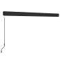 Tenda a Cassonetto Manuale 450x300 cm Antracite Tenda a Cassonetto Manuale 450x300 cm Antracite