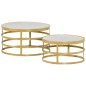 vidaXL Set Tavolini da Salotto 2 pz Marmo Ottone e Bianco