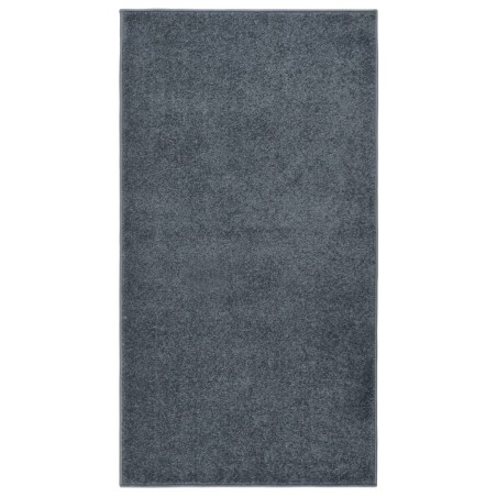 vidaXL Tappeto a Pelo Corto 80x150 cm Antracite