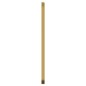 Specchio da Parete Dorato 30x80 cm Rettangolare
