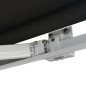 Tenda a Cassonetto Motorizzata 300 cm Antracite Tenda a Cassonetto Motorizzata 300 cm Antracite