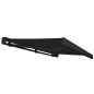 Tenda a Cassonetto Motorizzata 300x250 cm Antracite Tenda a Cassonetto Motorizzata 300x250 cm Antracite