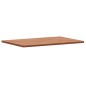 vidaXL Piano Bagno 60x40x1,5 cm Legno Massello di Faggio