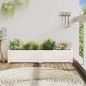 vidaXL Fioriera da Giardino Bianca 150x31x31 cm Legno Massello di Pino vidaXL Fioriera da Giardino Bianca 150x31x31 cm Legno Massello di Pino