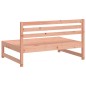 vidaXL Divani Centrali Giardino 2pz 120x80cm Legno Massello Douglas vidaXL Divani Centrali Giardino 2pz 120x80cm Legno Massello Douglas