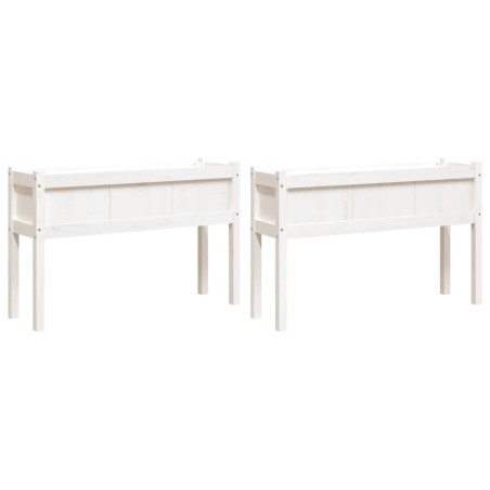 vidaXL Fioriere da Giardino 2 pz con Gambe Bianche Legno Massello Pino
