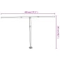 vidaXL Set Pali per Tenda da Sole Antracite 450x245 cm Ferro vidaXL Set Pali per Tenda da Sole Antracite 450x245 cm Ferro