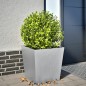 vidaXL Fioriera da Giardino 50x50x50 cm in Acciaio Zincato vidaXL Fioriera da Giardino 50x50x50 cm in Acciaio Zincato