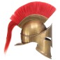 vidaXL Elmo da Guerriero Greco Antico per LARP in Acciaio Ottone vidaXL Elmo da Guerriero Greco Antico per LARP in Acciaio Ottone