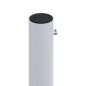 vidaXL Tenda da Sole Laterale Retrattile Antracite 200x1200 cm
