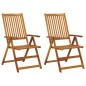 vidaXL Sedie da Giardino Reclinabili 2 pz con Cuscini Massello Acacia vidaXL Sedie da Giardino Reclinabili 2 pz con Cuscini Massello Acacia