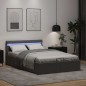 vidaXL Giroletto Contenitore Idraulico LED Grigio Similpelle 140x200cm vidaXL Giroletto Contenitore Idraulico LED Grigio Similpelle 140x200cm