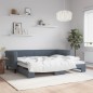 vidaXL Divano Letto con Letto Estraibile Grigio Scuro 90x200cm Velluto