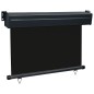 vidaXL Tendalino Laterale per Balcone 105x250 cm Nero vidaXL Tendalino Laterale per Balcone 105x250 cm Nero