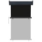 vidaXL Tendalino Laterale per Balcone 105x250 cm Nero vidaXL Tendalino Laterale per Balcone 105x250 cm Nero