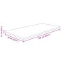 vidaXL Piano Bagno 100x60x1,5 cm in Legno Massello Non Trattato