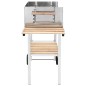 vidaXL Griglia per Barbecue a Carrello XXL Acciaio Inox con 2 Ripiani vidaXL Griglia per Barbecue a Carrello XXL Acciaio Inox con 2 Ripiani