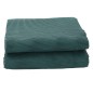 vidaXL Tappeto da Tenda Verde 5,5x2,5 m vidaXL Tappeto da Tenda Verde 5,5x2,5 m