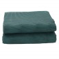 vidaXL Tappeto da Tenda Verde 4x2 m vidaXL Tappeto da Tenda Verde 4x2 m