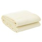 vidaXL Tappeto da Tenda Crema 4x2 m vidaXL Tappeto da Tenda Crema 4x2 m