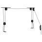 vidaXL Sollevatori per Bici con Supporto a Soffitto 2 pz 20 kg