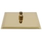 vidaXL Testa Doccia a Pioggia in Acciaio Inox 20x20cm Quadrata Oro vidaXL Testa Doccia a Pioggia in Acciaio Inox 20x20cm Quadrata Oro