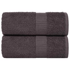 vidaXL Asciugamani Ospiti 2 pz Antracite 30x50 cm 360 g/m² 100% Cotone