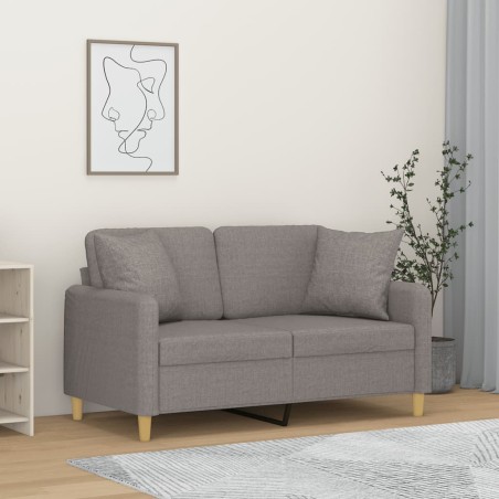 vidaXL Divano a 2 Posti con Cuscini Grigio Chiaro 120 cm in Tessuto