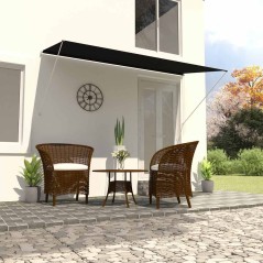 vidaXL Tenda da Sole Retrattile 250x150 cm Antracite