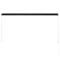 vidaXL Tenda da Sole Retrattile 250x150 cm Antracite vidaXL Tenda da Sole Retrattile 250x150 cm Antracite