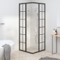 vidaXL Cabina Doccia ESG Smerigliato 80x80x180 cm Nera vidaXL Cabina Doccia ESG Smerigliato 80x80x180 cm Nera