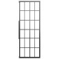 vidaXL Cabina Doccia ESG Smerigliato 80x80x180 cm Nera vidaXL Cabina Doccia ESG Smerigliato 80x80x180 cm Nera