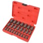 vidaXL Set Estrattore Multi Vite 25 pz in Acciaio vidaXL Set Estrattore Multi Vite 25 pz in Acciaio