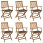 vidaXL Sedie da Giardino Pieghevoli 6 pz con Cuscini Massello Acacia vidaXL Sedie da Giardino Pieghevoli 6 pz con Cuscini Massello Acacia
