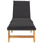 vidaXL Sdraio con Cuscini 2pz Polyrattan e Legno Massello di Acacia vidaXL Sdraio con Cuscini 2pz Polyrattan e Legno Massello di Acacia