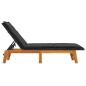 vidaXL Sdraio con Cuscini 2pz Polyrattan e Legno Massello di Acacia vidaXL Sdraio con Cuscini 2pz Polyrattan e Legno Massello di Acacia