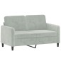 vidaXL Set di Divani 2 pz con Cuscini Grigio Chiaro in Velluto vidaXL Set di Divani 2 pz con Cuscini Grigio Chiaro in Velluto