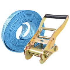 vidaXL Cinghie d'Ancoraggio 4 pz a Cricchetto 4 T 8mx50mm Blu