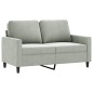 vidaXL Set di Divani 2 pz con Cuscini Grigio Chiaro in Velluto vidaXL Set di Divani 2 pz con Cuscini Grigio Chiaro in Velluto