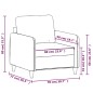 vidaXL Poltrona Grigio Scuro 60 cm Velluto vidaXL Poltrona Grigio Scuro 60 cm Velluto