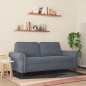 vidaXL Divano a 2 Posti grigio scuro140 cm in Velluto