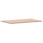 vidaXL Piano Bagno 100x60x1,5 cm in Legno Massello di Faggio vidaXL Piano Bagno 100x60x1,5 cm in Legno Massello di Faggio