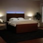 vidaXL Giroletto a Molle con Materasso Rosa 180x200 cm in Velluto