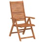 vidaXL Sedie Giardino Pieghevoli Reclinabili 2pz Legno Massello Acacia vidaXL Sedie Giardino Pieghevoli Reclinabili 2pz Legno Massello Acacia