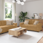 Set di Divani a 2 Pezzi con Cuscini in Velour Marrone