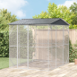 vidaXL Voliera per Uccelli Antracite 310x227x247 cm Acciaio vidaXL Voliera per Uccelli Antracite 310x227x247 cm Acciaio