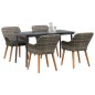 vidaXL Set da Pranzo da Giardino 5 Pezzi Grigio in Rattan Sintetico