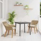 vidaXL Set da pranzo da giardino 3 pezzi beige in rattan sintetico vidaXL Set da pranzo da giardino 3 pezzi beige in rattan sintetico