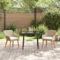 vidaXL Set da pranzo da giardino 3 pezzi beige in rattan sintetico vidaXL Set da pranzo da giardino 3 pezzi beige in rattan sintetico