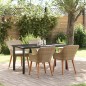 vidaXL Set da Pranzo Giardino 5 Pezzi Beige in Polyrattan vidaXL Set da Pranzo Giardino 5 Pezzi Beige in Polyrattan